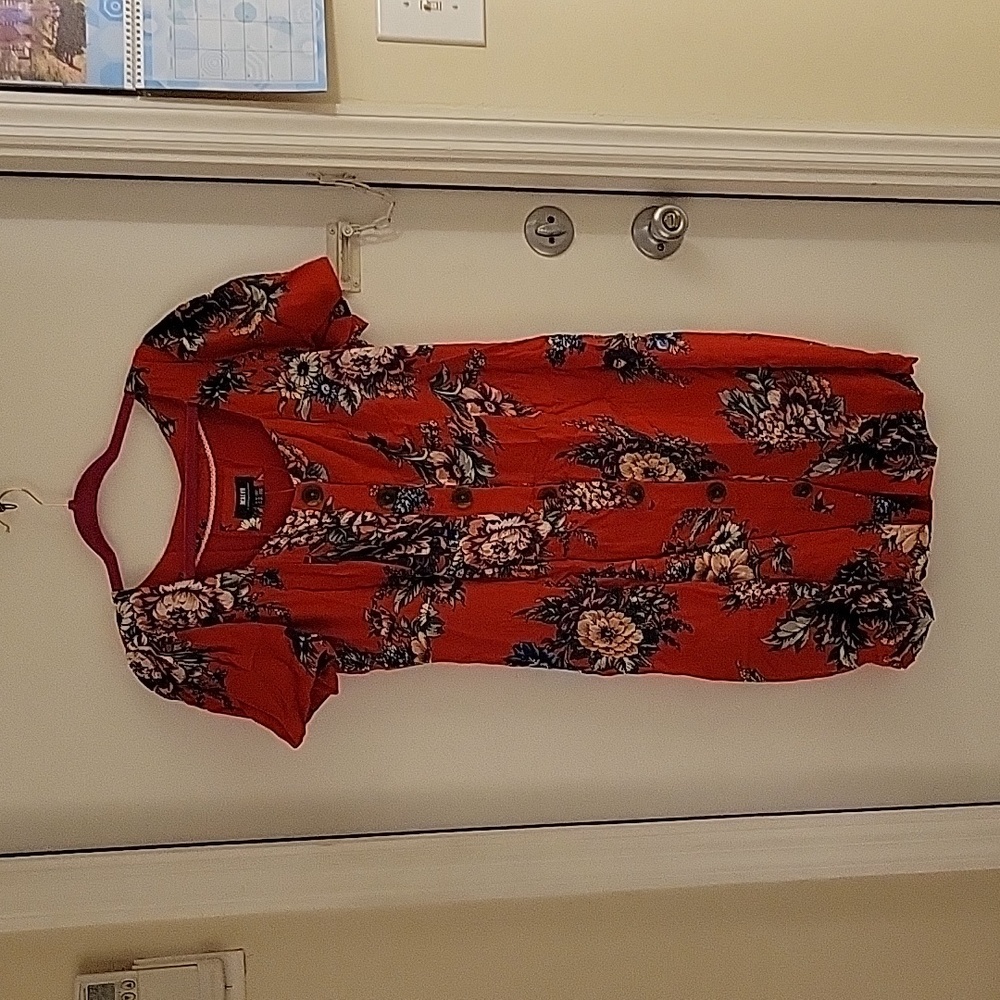 NWT Red  Floral Maeve dress